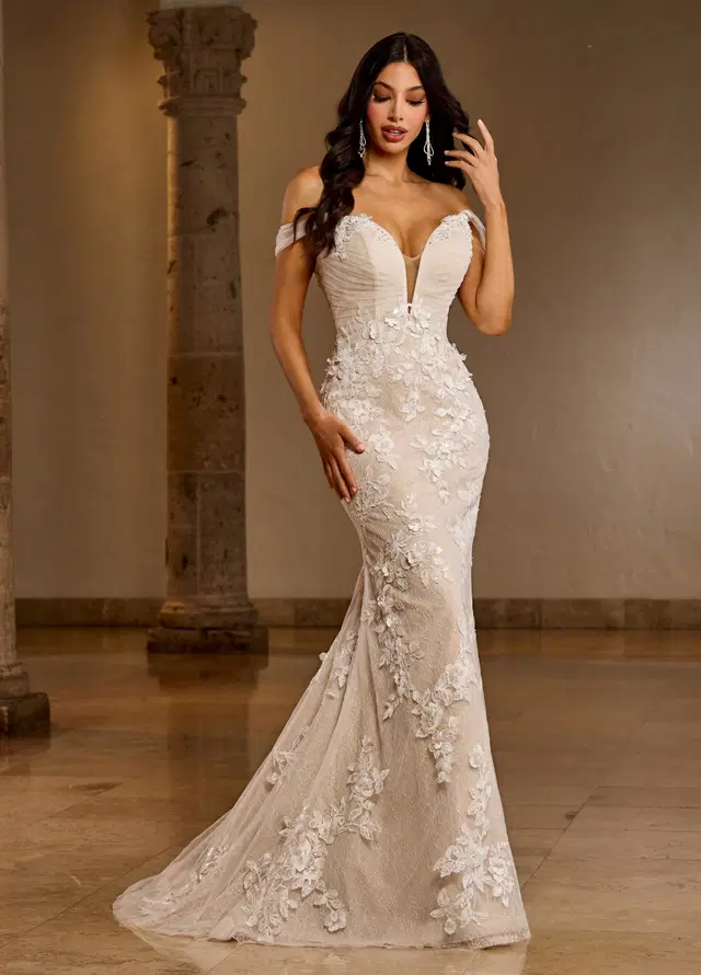RB5039 by Rachel Allan: Mermaid silhouette, deep V-neck neckline, sleeveless, lace