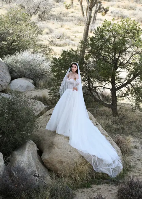 Vasquez wedding dress by Dando London, ball gown, tulle