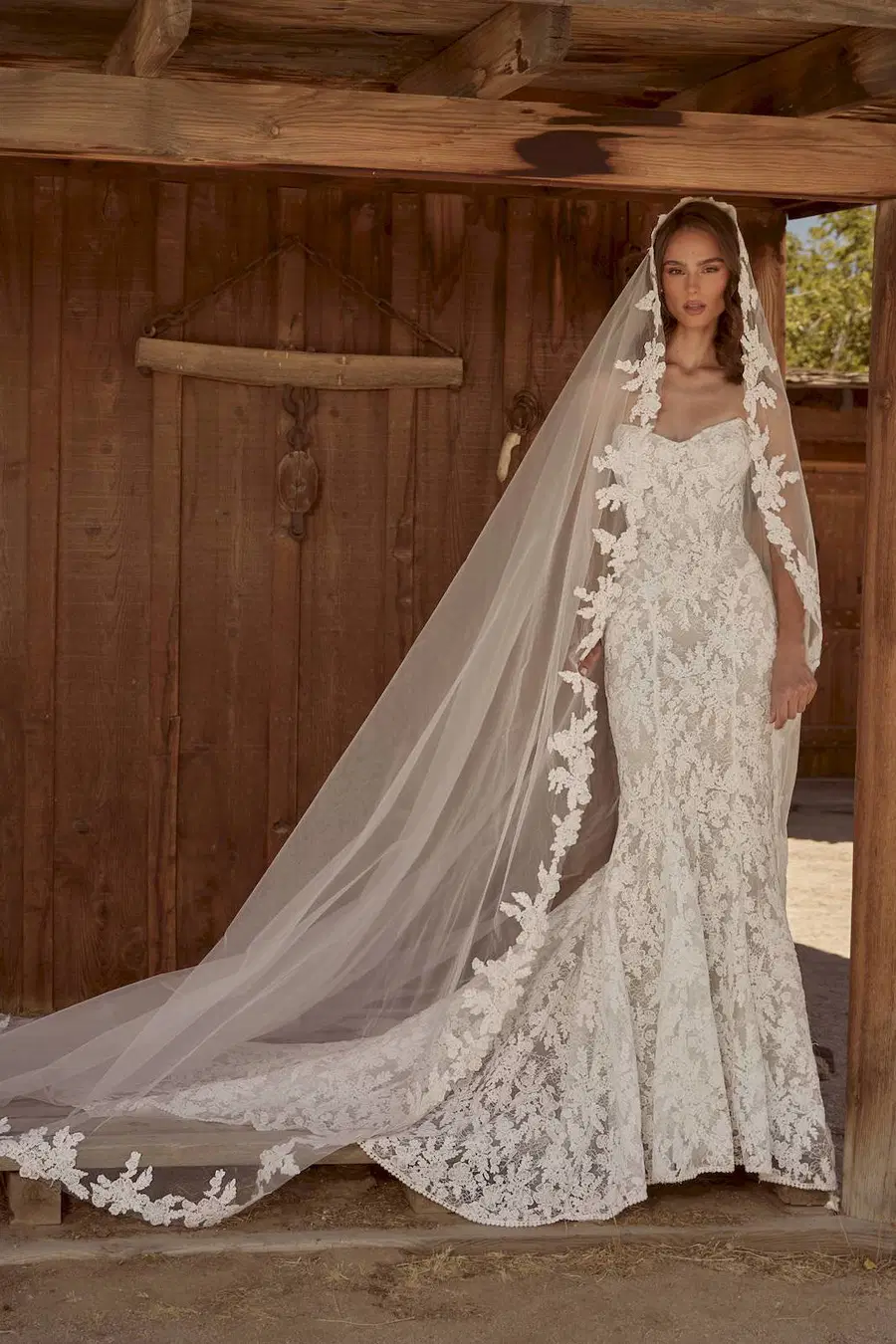 LP2615 Fredddie by Calla Blanche: Mermaid silhouette, sweetheart neckline, sleeveless, lace