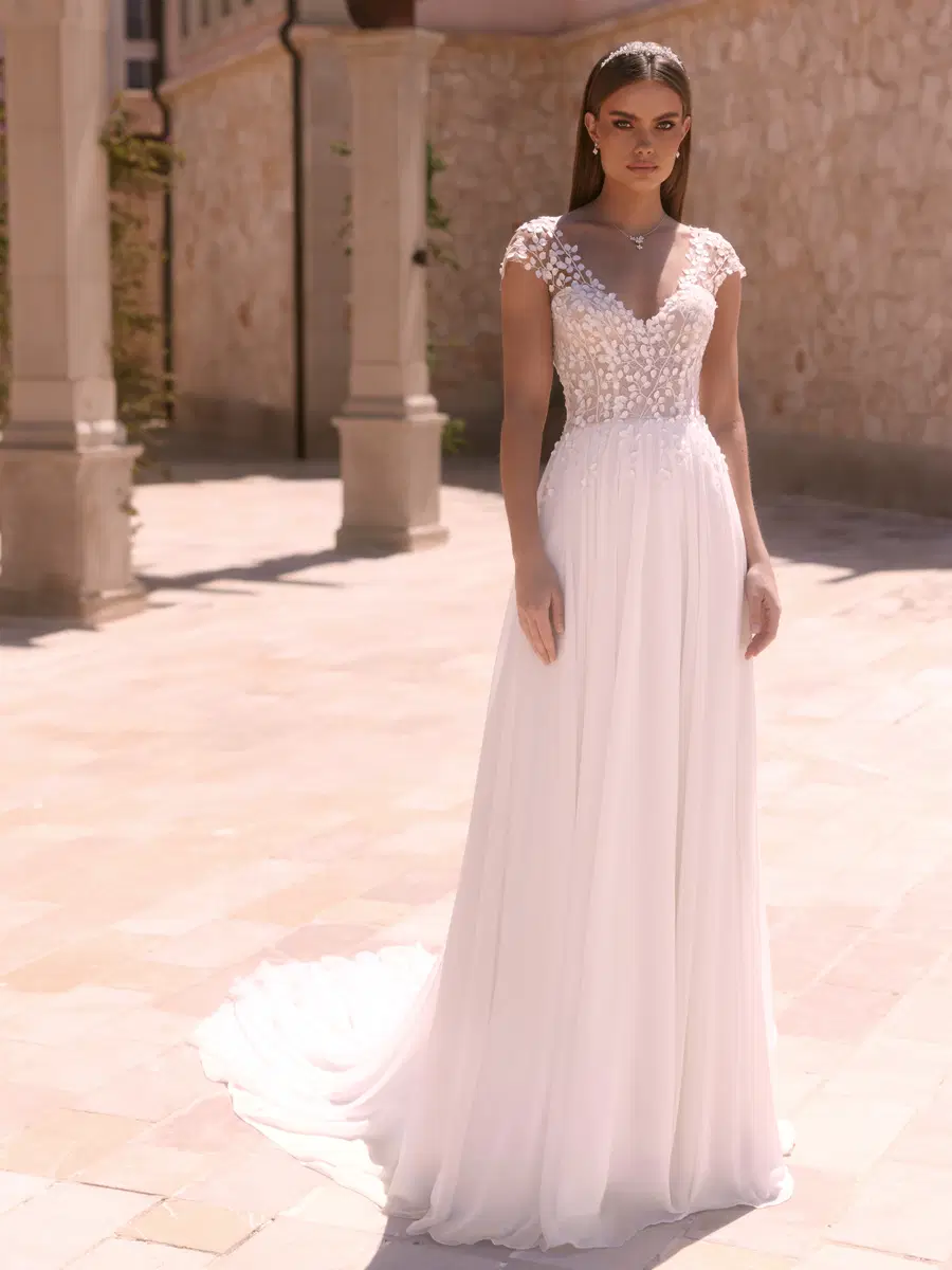 Doridis by Bianco Evento: A-Line silhouette, V-neck neckline, cap sleeves, tulle