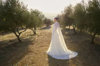 L1159 by Demetrios - view 5 of 5