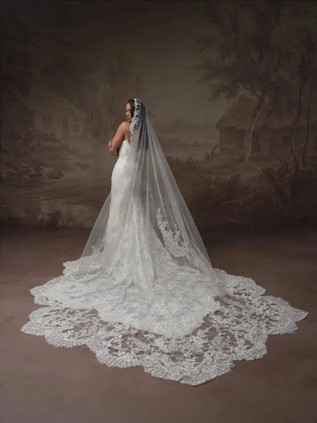 EIRAWEN by Sottero & Midgley - view 8 of 12