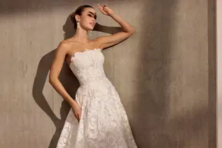 Amara by Avenue by Josephine Scott - view 6 of 6
