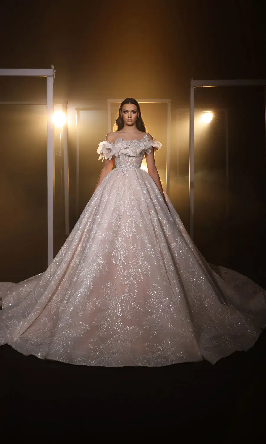R 24-020 by Ricca Sposa: Ball Gown silhouette, off-shoulder neckline, sleeveless, lace