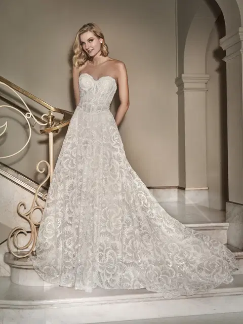 Starlee wedding dress by Pronovias Privée, A-line, lace