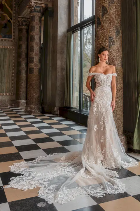 Ariane wedding dress by Diane Legrand, straight, lace