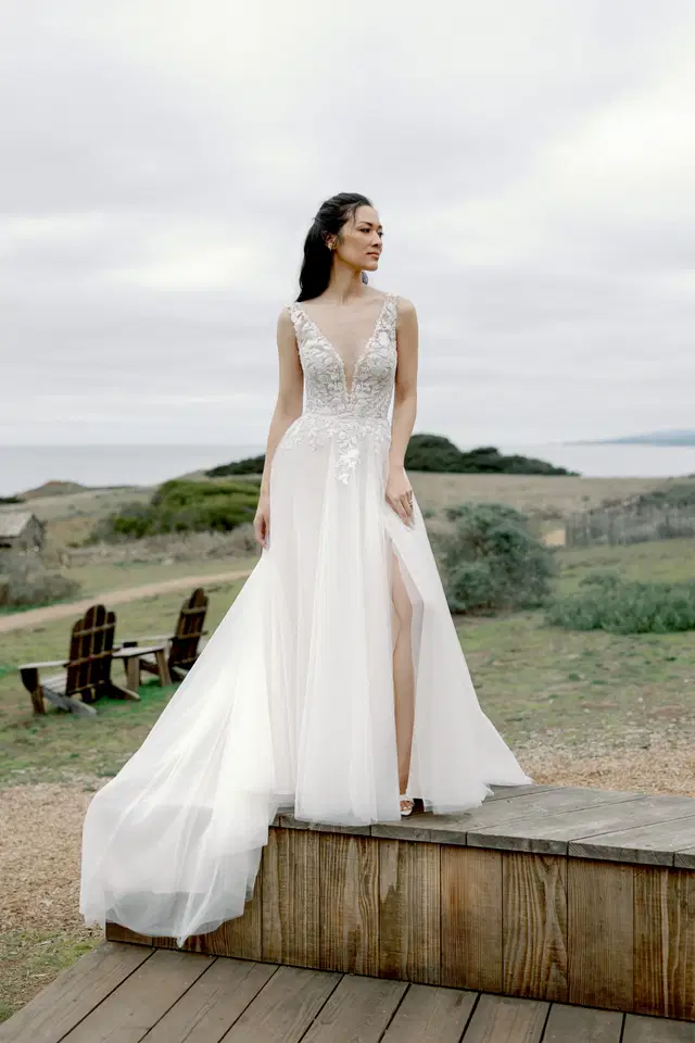 Mira by Adore: A-Line silhouette, V-neck neckline, tulle