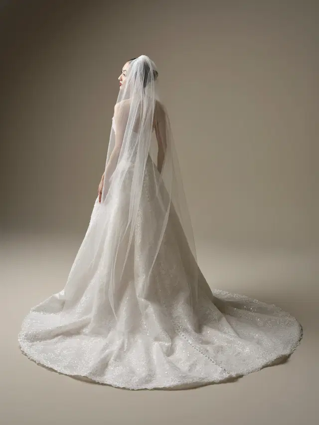 Angelica by Sottero & Midgley - view 12 of 12