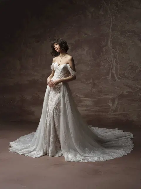 Hester wedding dress by Sottero & Midgley, A-line, lace