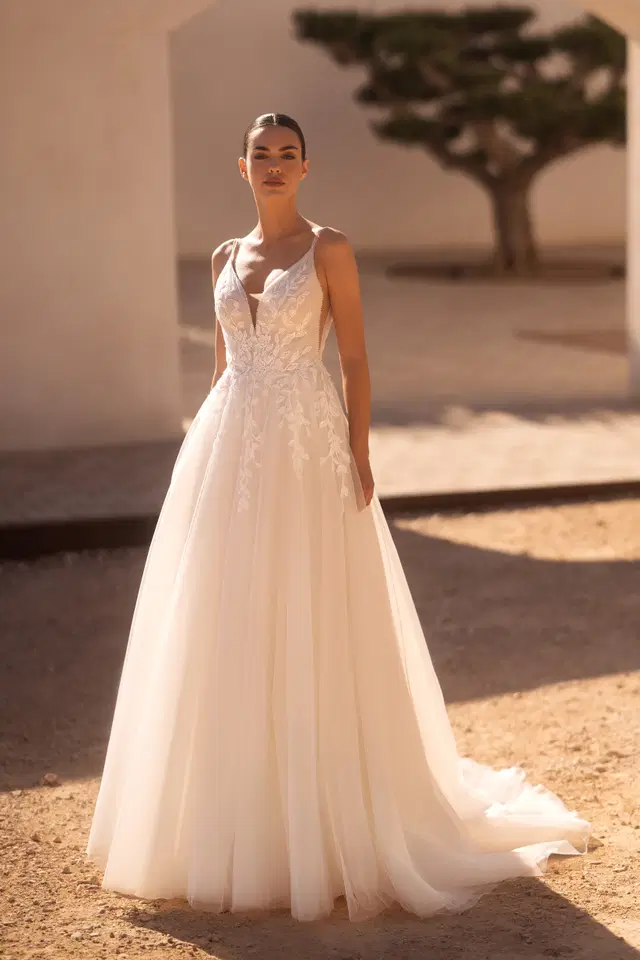 E-5509 by Elizabeth Passion: A-Line silhouette, deep V-neck neckline, sleeveless, tulle