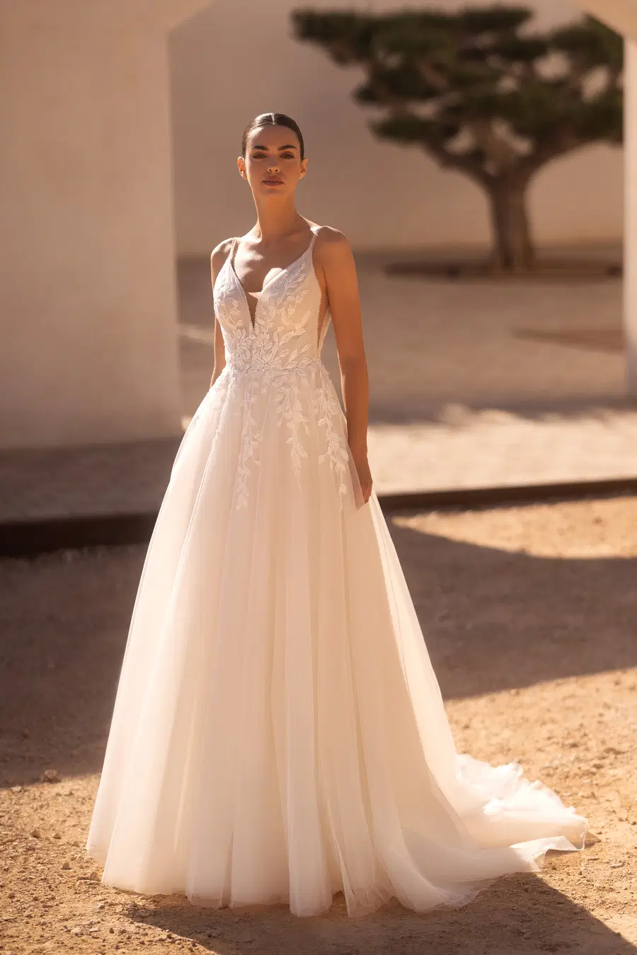 E-5509 by Elizabeth Passion: A-Line silhouette, deep V-neck neckline, sleeveless, tulle