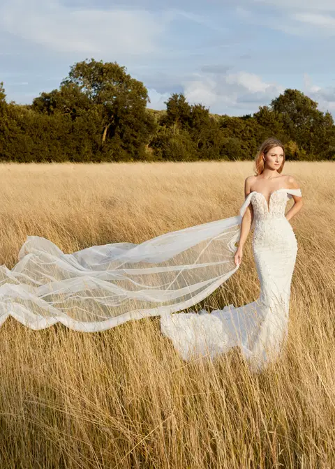 Celine Dion wedding dress by Dando London, mermaid, tulle