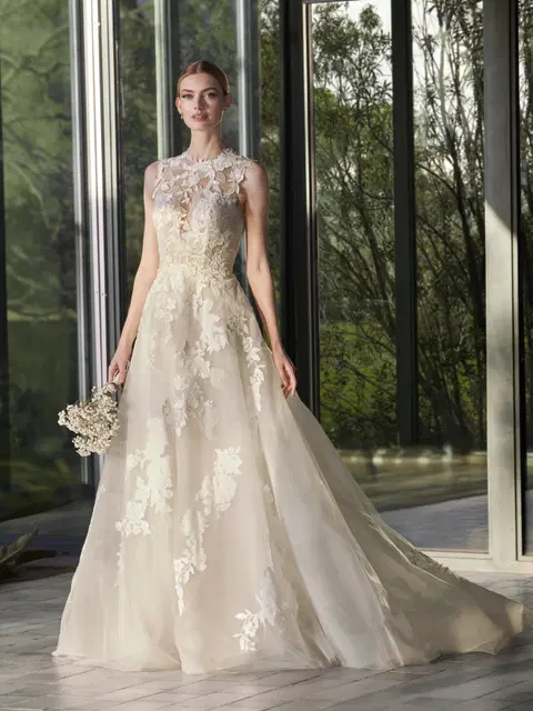 Rianne wedding dress by Pronovias, A-line, lace