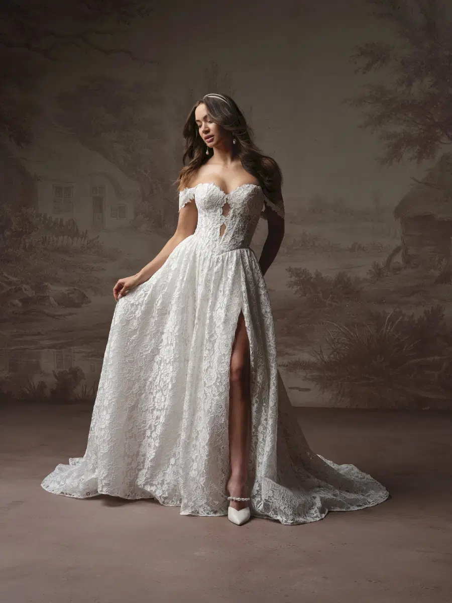 NARELLE by Rebecca Ingram: A-Line silhouette, sweetheart neckline, detachable sleeves, lace