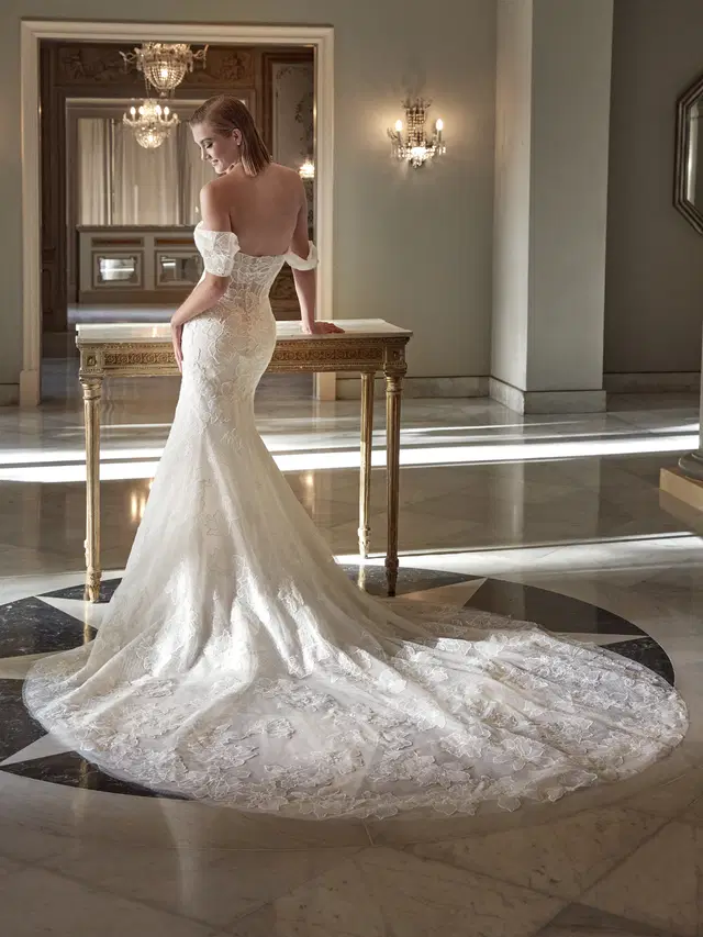 AGA by Pronovias Privée - view 2 of 2