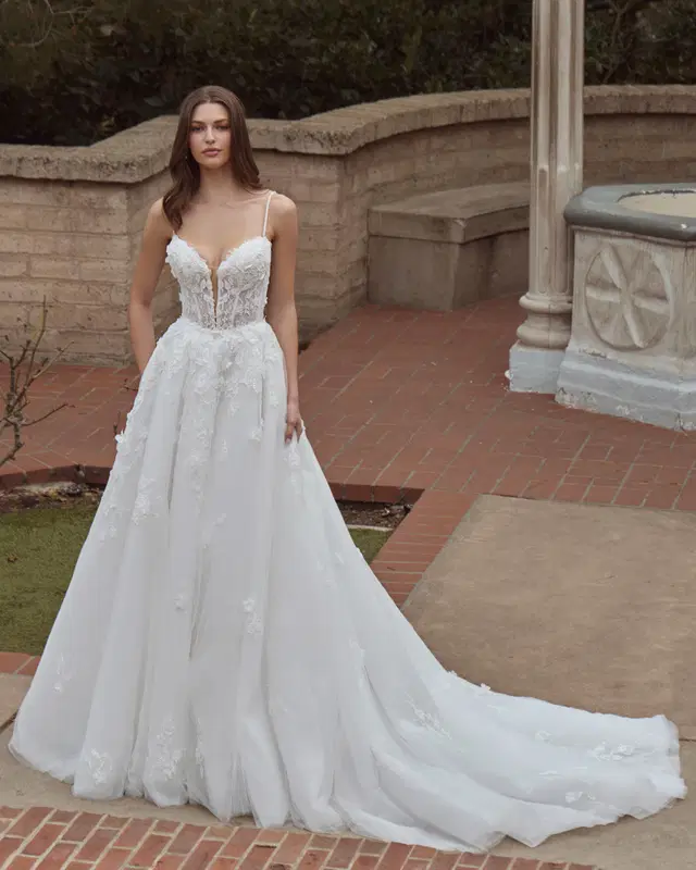 LA26242 Honey by Calla Blanche: Ball Gown silhouette, deep V-neck neckline, sleeveless, lace