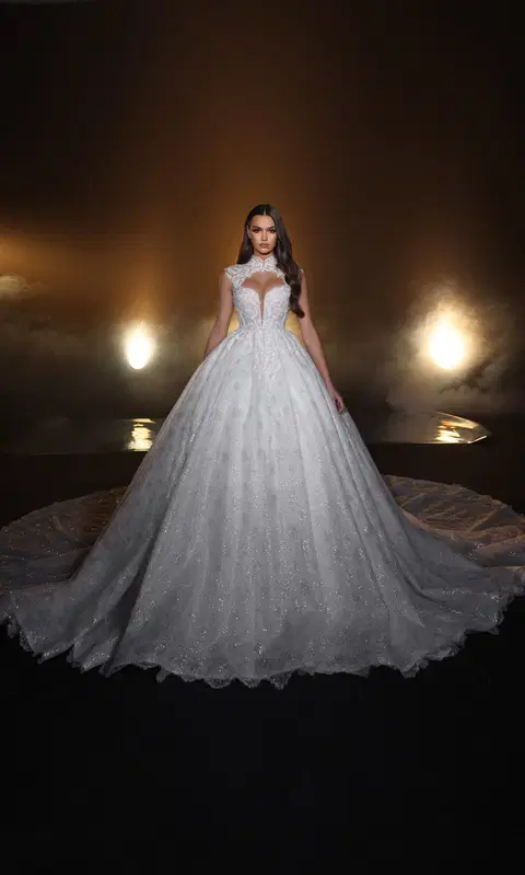 Style R 24-012 wedding dress by Ricca Sposa, ball gown, lace
