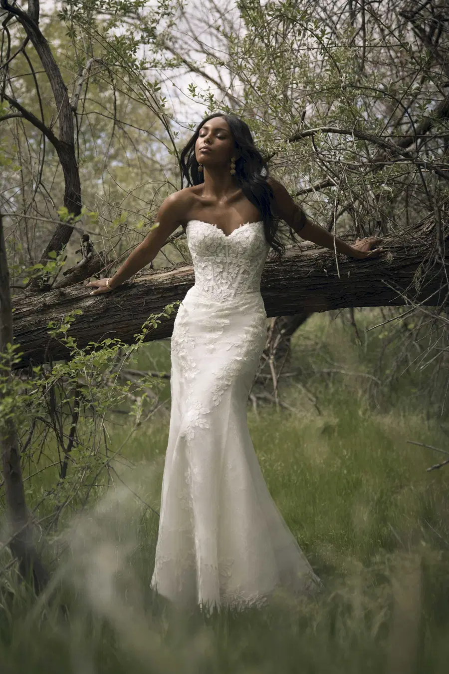 BRANDY by Rebecca Ingram - view 8 of 10