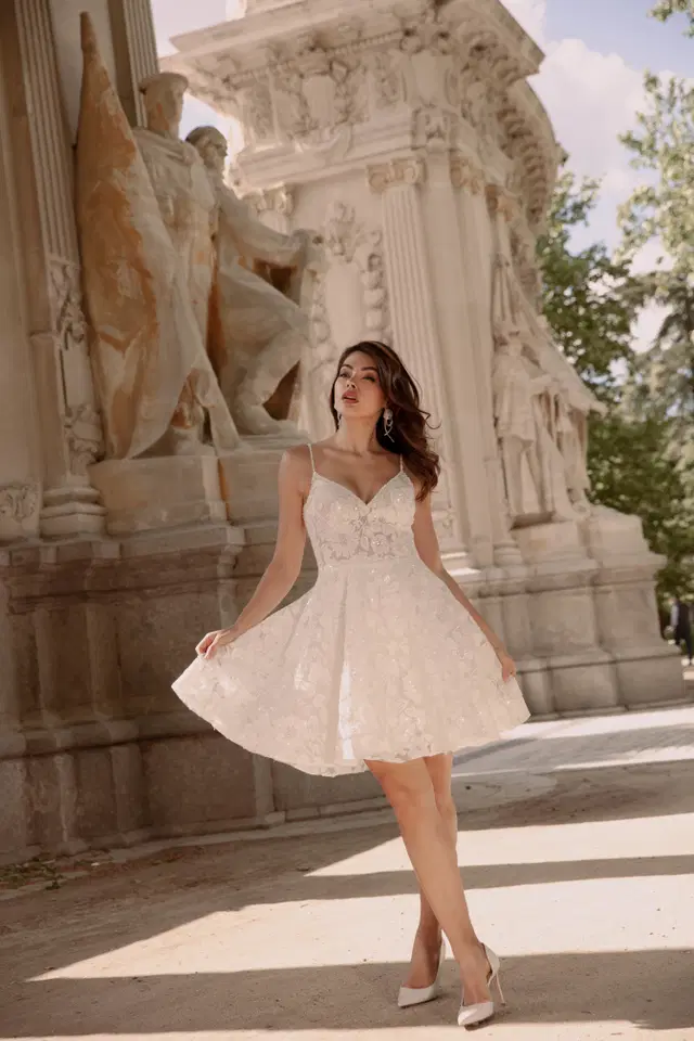 TO-2244 by Agnes: A-Line silhouette, V-neck neckline, sleeveless, lace