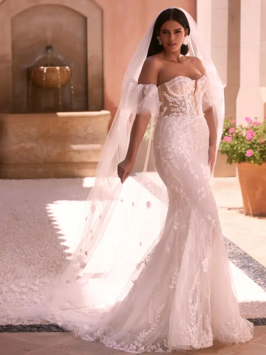 Zerene c by Bianco Evento: Mermaid silhouette, sweetheart neckline, short sleeves, lace