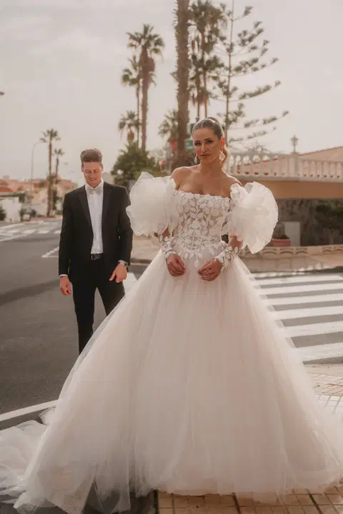 Style 82319 wedding dress by Diane Legrand, ball gown, lace