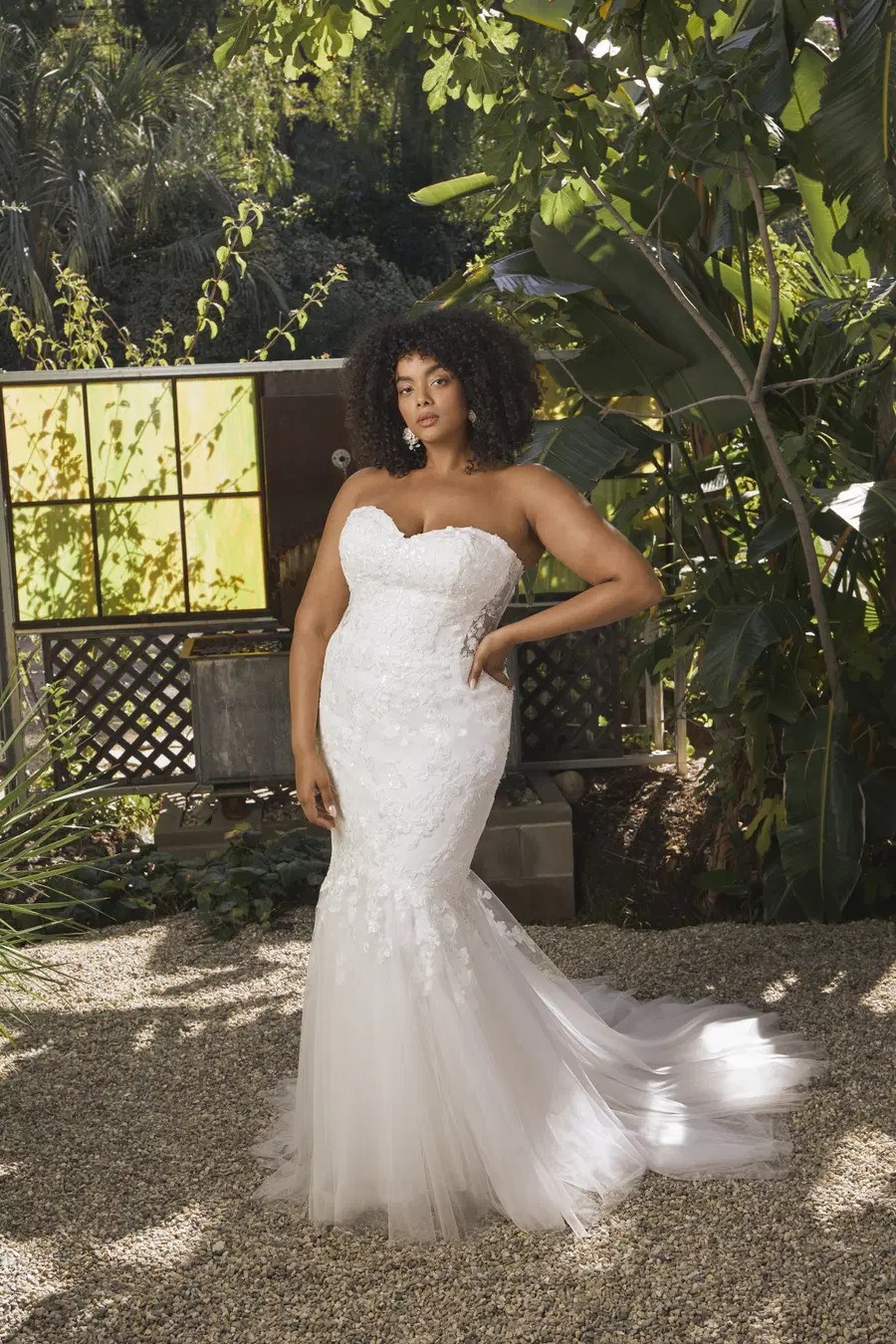 Eve Curvy by Beloved by Casablanca - view 3 of 5