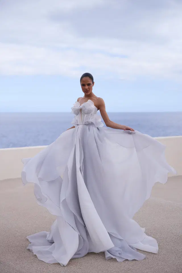 Sapphire Ray by Liretta: A-Line silhouette, organza