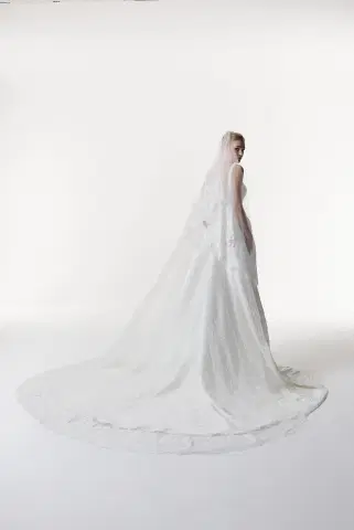 Penelope by Josephine Scott - view 4 of 8