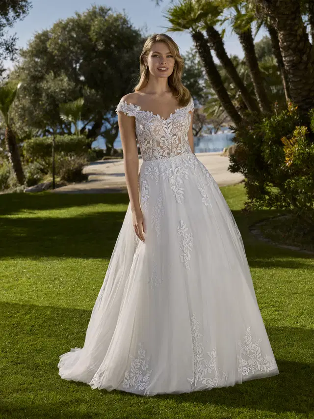 APIFERA by Ladybird: Princess silhouette, sleeveless, tulle