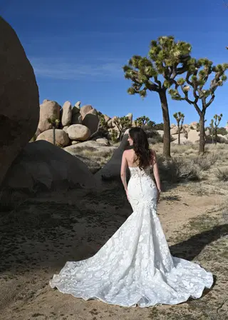 SAN BERNARDINO by Dando London - view 5 of 5