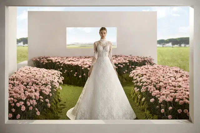 Regio by Rosa Clara: A-Line silhouette, illusion neckline, long sleeves, lace