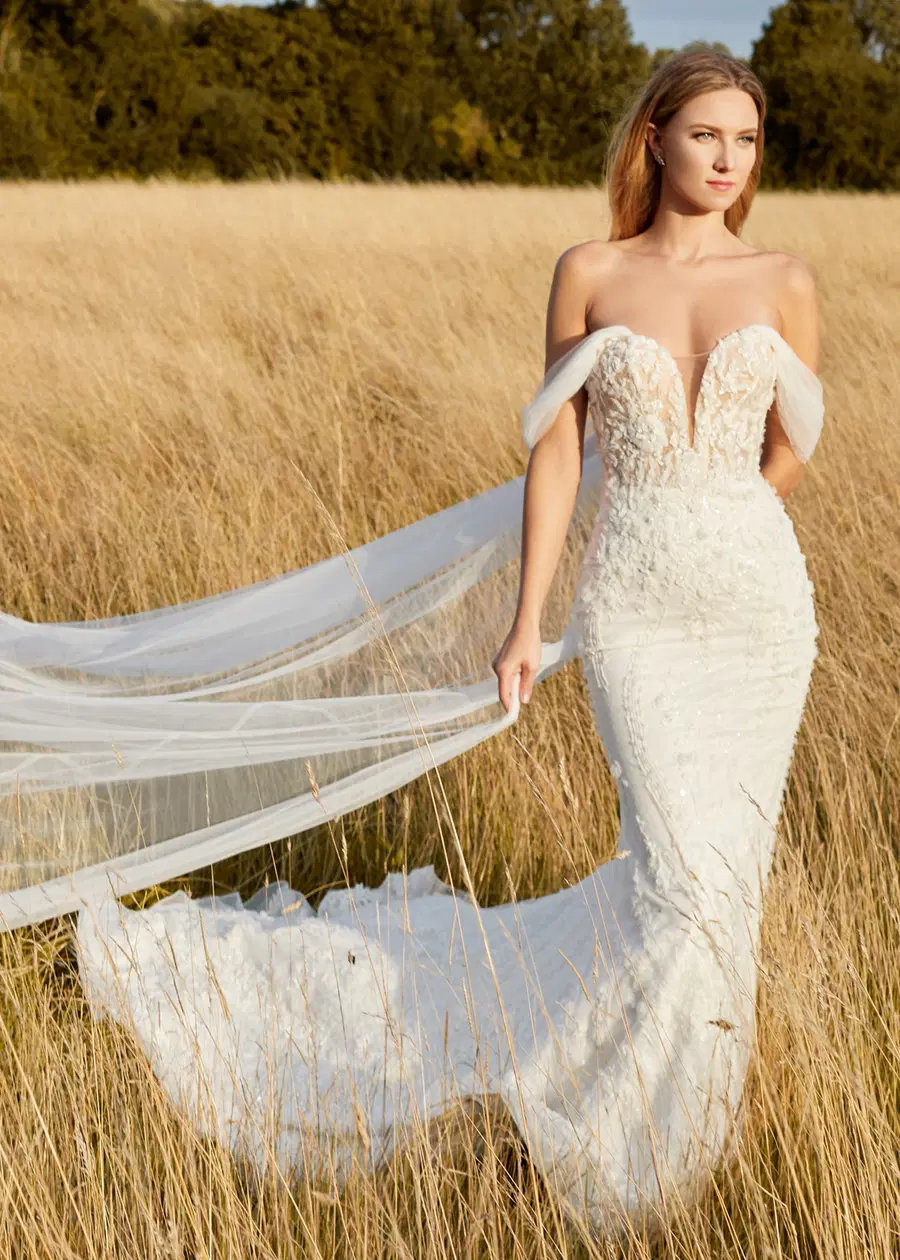 CELINE DION by Dando London - view 2 of 5