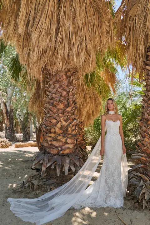 LA26117 Verena wedding dress by Calla Blanche, trumpet, lace