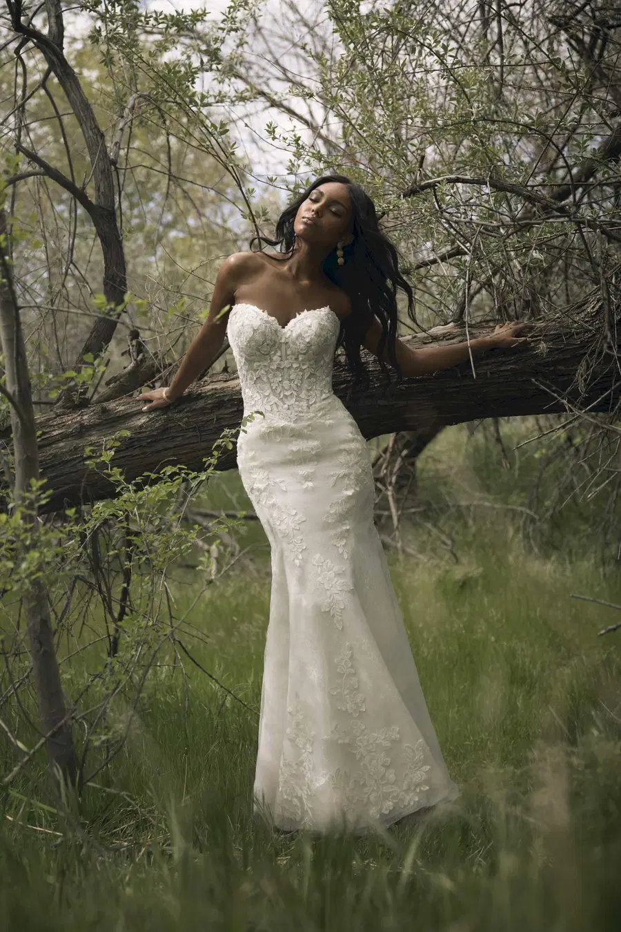 BRANDY by Rebecca Ingram - view 9 of 10
